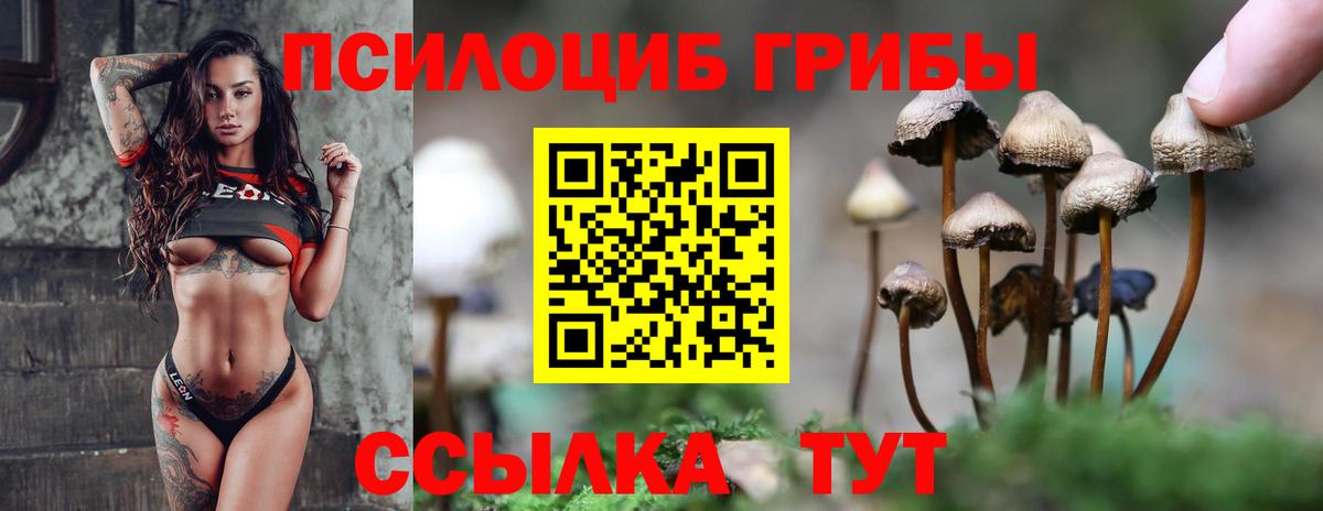 Рузаевка  Галлюциногенные грибы Psilocybe  что такое   Псилоцибиновые грибы Cubensis  Вход с VPN 