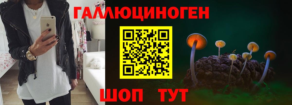 Псилоцибиновые грибы MAGIC MUSHROOMS Рузаевка